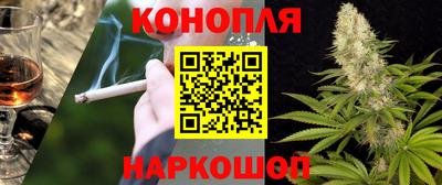сатива Усть-Илимск